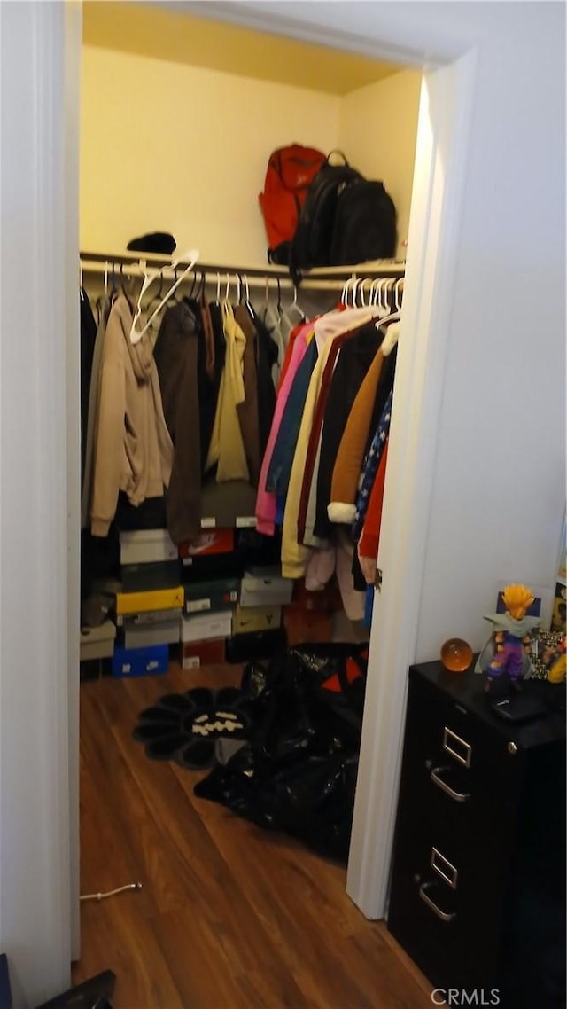 walk in closet featuring wood-type flooring