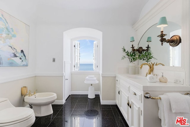 bathroom featuring vanity, a wealth of natural light, a bidet, and toilet