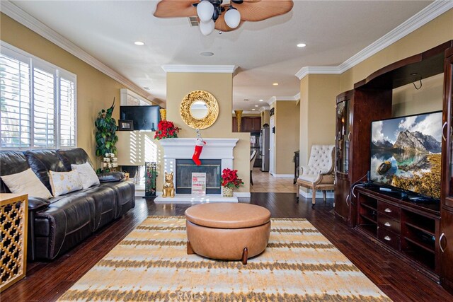 living room with ceiling fan, dark wood-type flooring, and ornamental molding