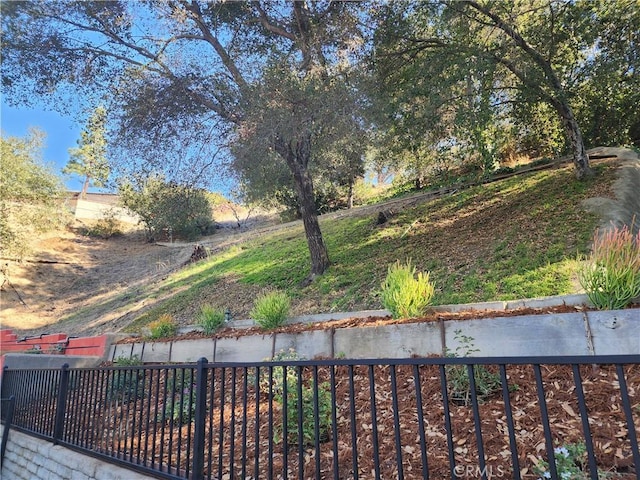 2541 Sleepy Hollow Dr, Glendale, CA 91206 - view of yard