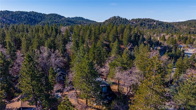 drone / aerial view with a mountain view