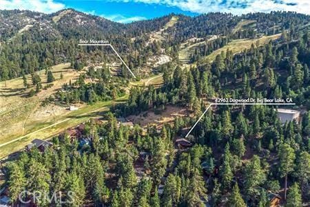 drone / aerial view with a mountain view