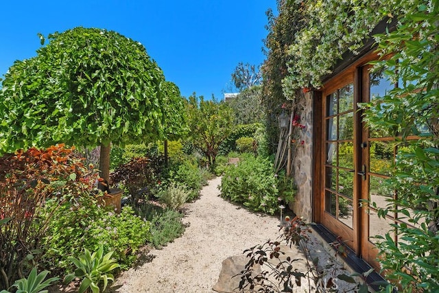 1330 Temple Hills Dr, Laguna Beach, CA 92651 - view of yard