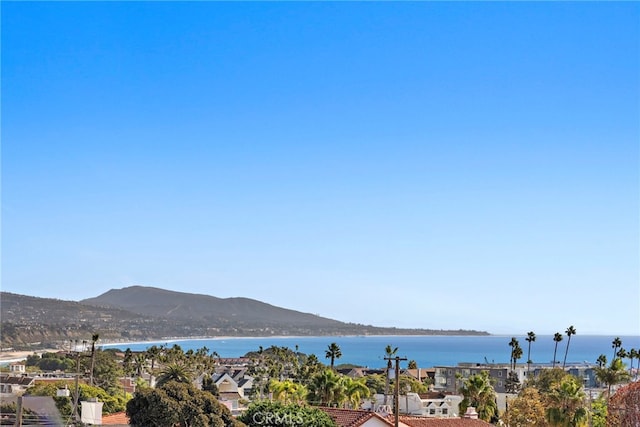 water view featuring a mountain view