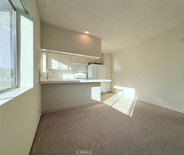 interior space with plenty of natural light, light colored carpet, and a textured ceiling