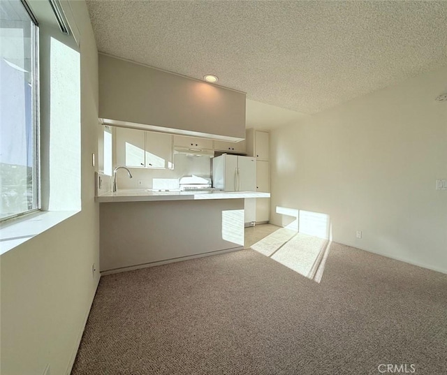 interior space with light carpet and a textured ceiling