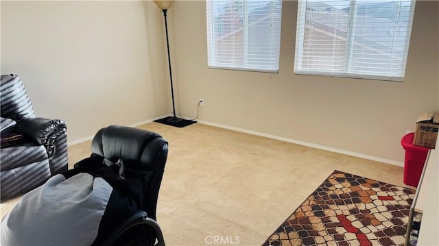 living area with carpet