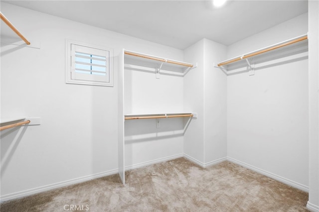 walk in closet with light carpet