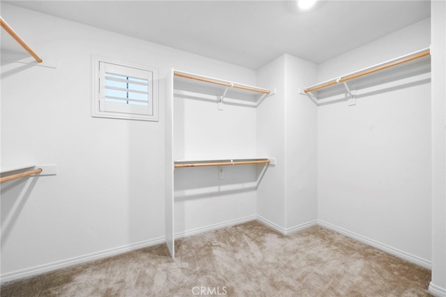 5418 Heitz Way, Fontana, CA 92336 - walk in closet featuring carpet flooring