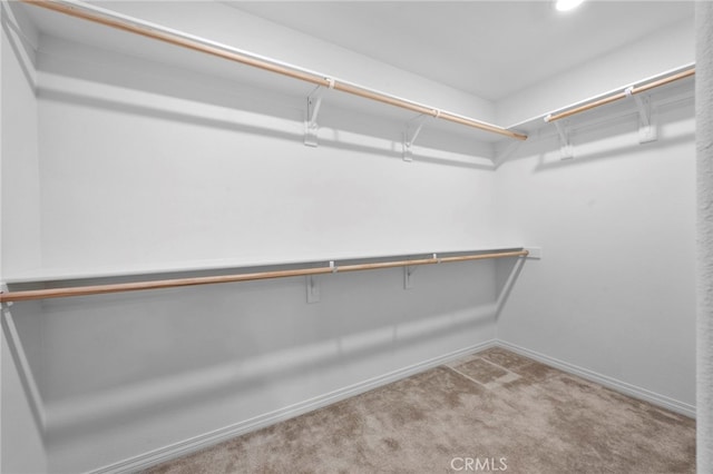 spacious closet featuring light colored carpet