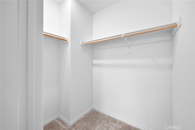 walk in closet featuring light colored carpet