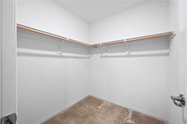 walk in closet with light colored carpet