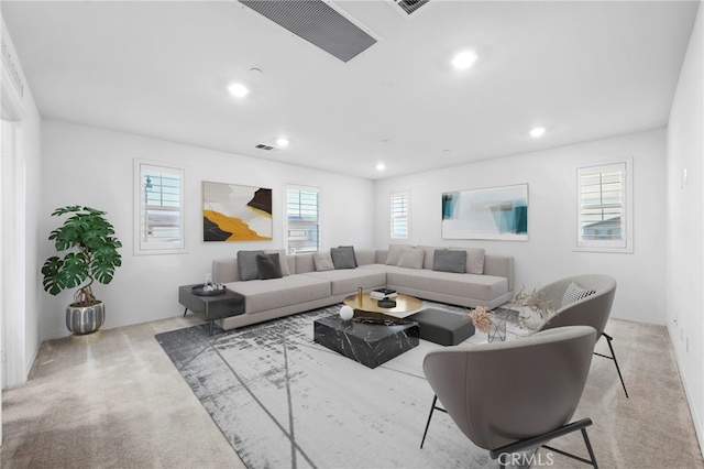 carpeted living room with plenty of natural light