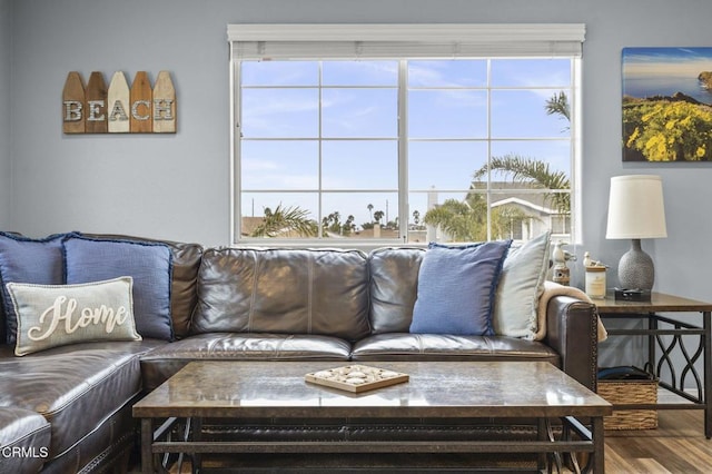 living room featuring wood finished floors