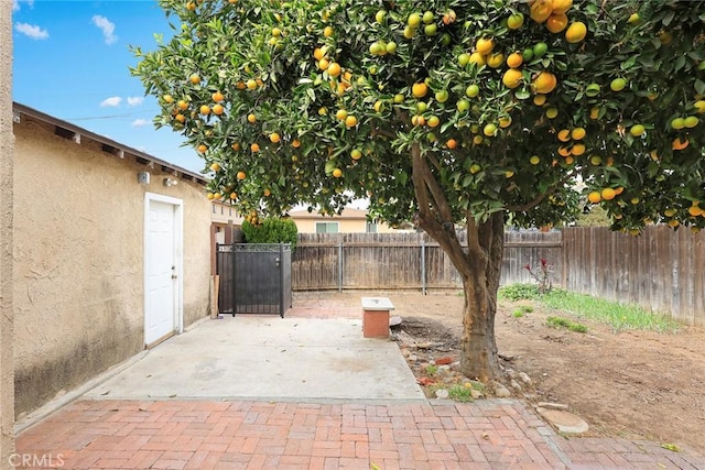 view of yard featuring a patio