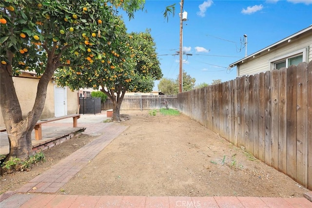 view of yard