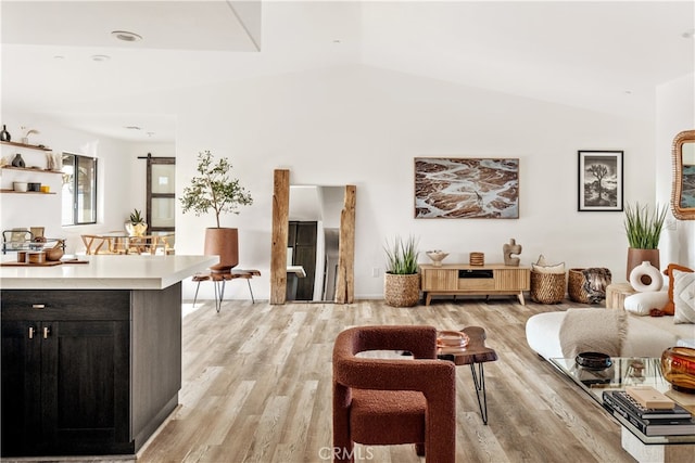 living room featuring light hardwood / wood-style floors and vaulted ceiling