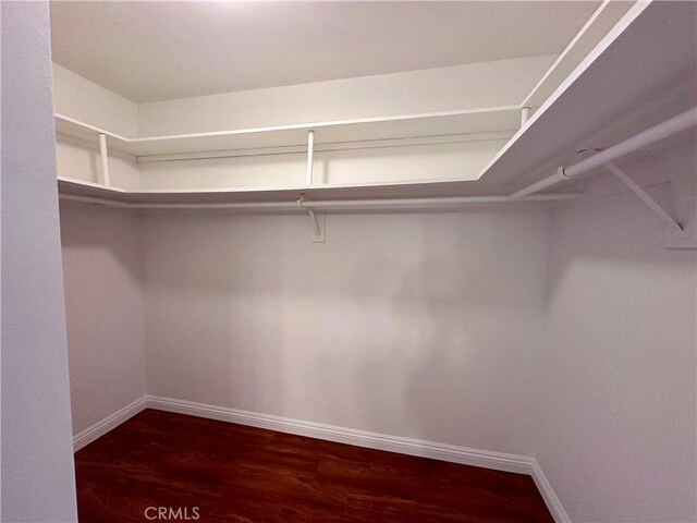 spacious closet featuring dark hardwood / wood-style floors