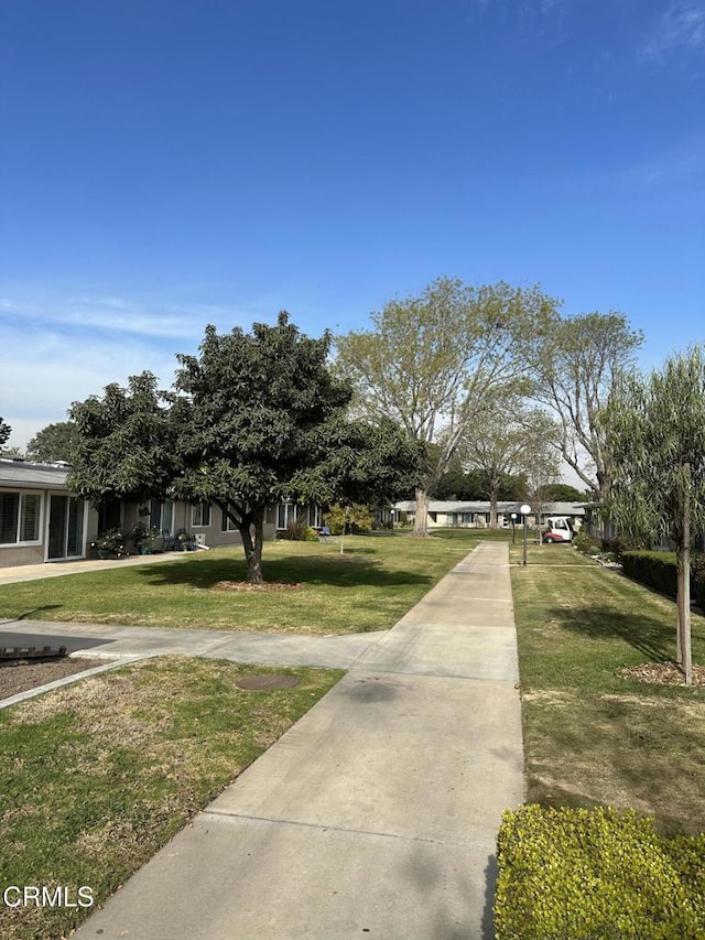 view of community with a lawn