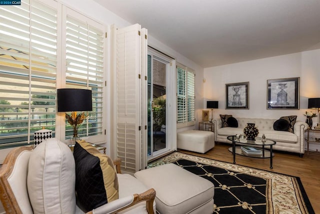 living room with hardwood / wood-style floors and a healthy amount of sunlight