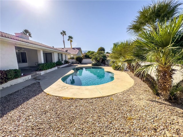 view of swimming pool with a patio area