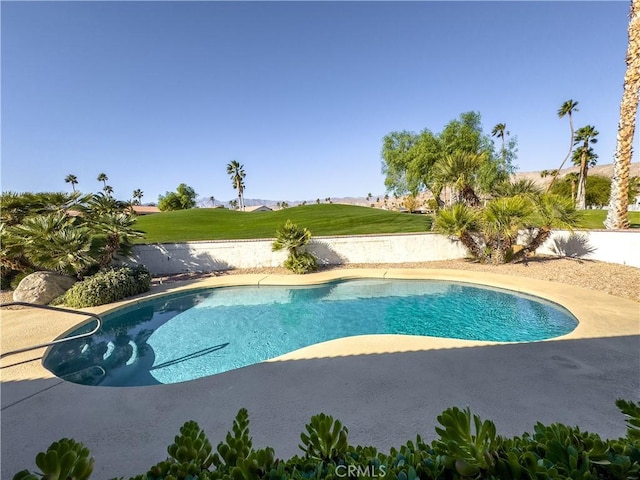 view of pool with a yard