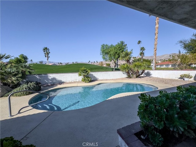 view of pool with a patio