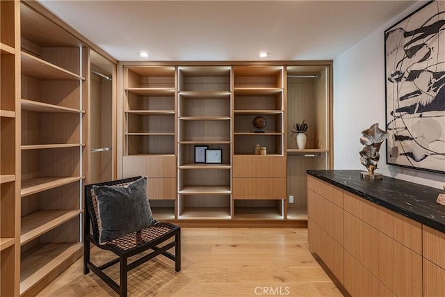 sitting room featuring light hardwood / wood-style flooring