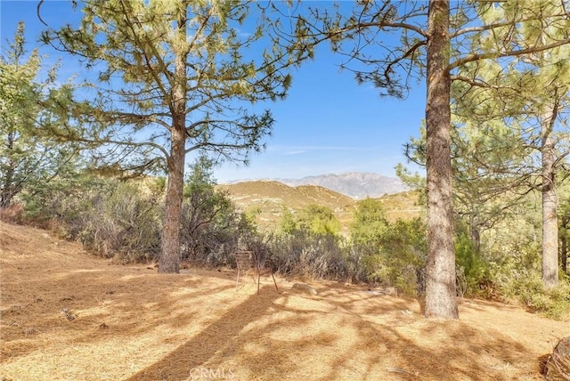 48085 Twin Pines Rd, Banning, CA 92220 - photo 7