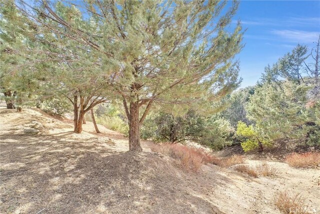 48085 Twin Pines Rd, Banning, CA 92220 - photo 47