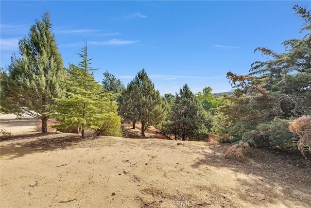 48085 Twin Pines Rd, Banning, CA 92220 - photo 3