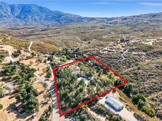 birds eye view of property featuring a mountain view