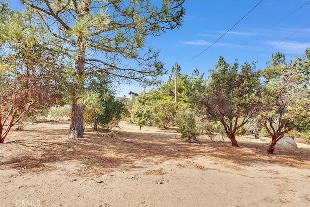 48085 Twin Pines Rd, Banning, CA 92220 - photo 50