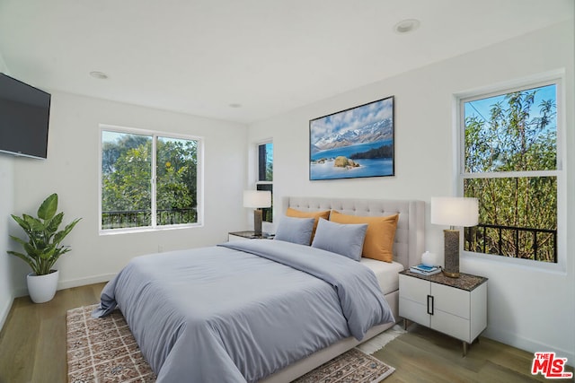 bedroom featuring wood-type flooring and multiple windows