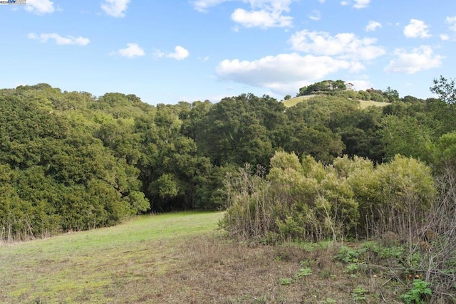 view of local wilderness