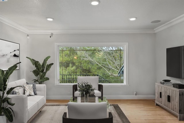 living room with light hardwood / wood-style floors and plenty of natural light