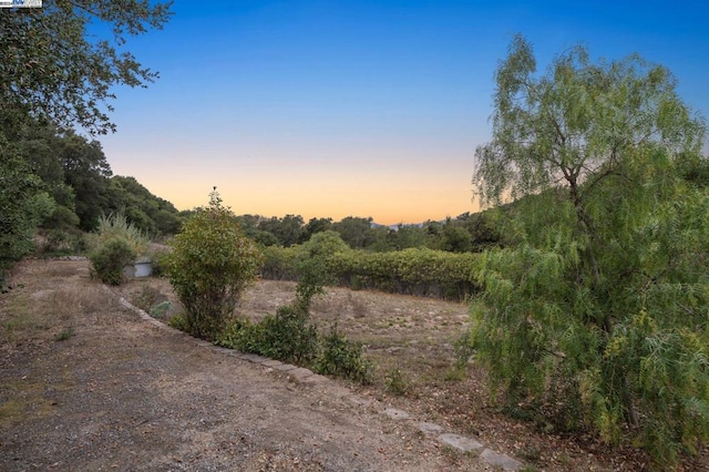 view of nature at dusk