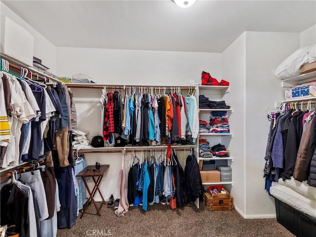 walk in closet featuring carpet