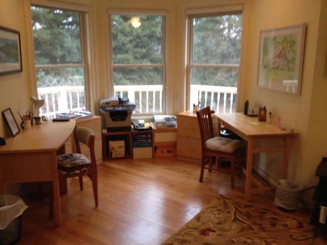 home office featuring plenty of natural light and light wood-type flooring