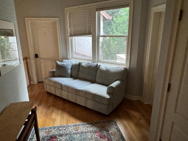 living room with light wood-type flooring