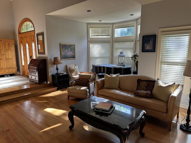 living room with wood-type flooring