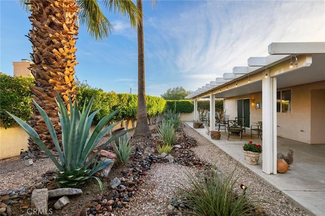 view of yard with a patio