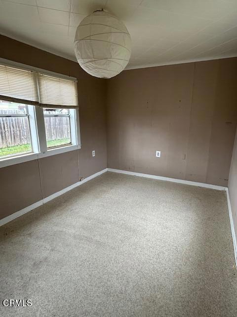 unfurnished room featuring carpet flooring