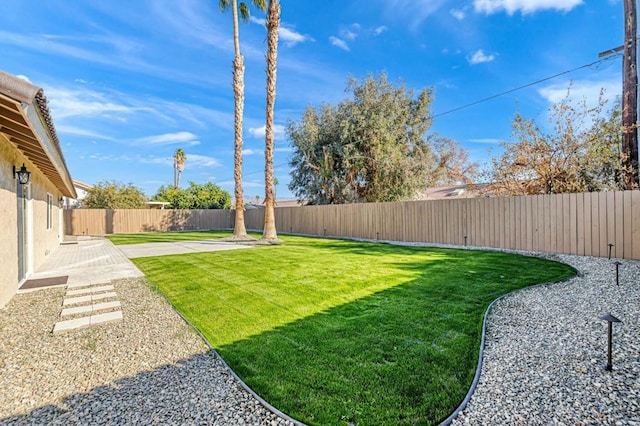 view of yard featuring a patio