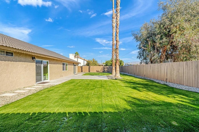 view of yard featuring a patio area