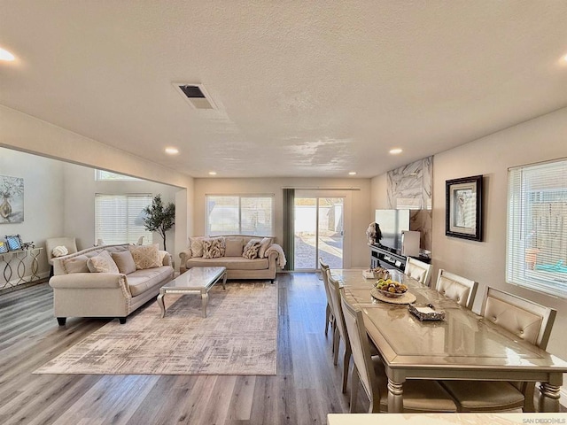 living room with a textured ceiling and hardwood / wood-style flooring