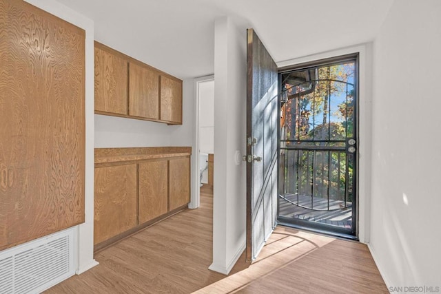 entryway with light wood-type flooring and a wealth of natural light