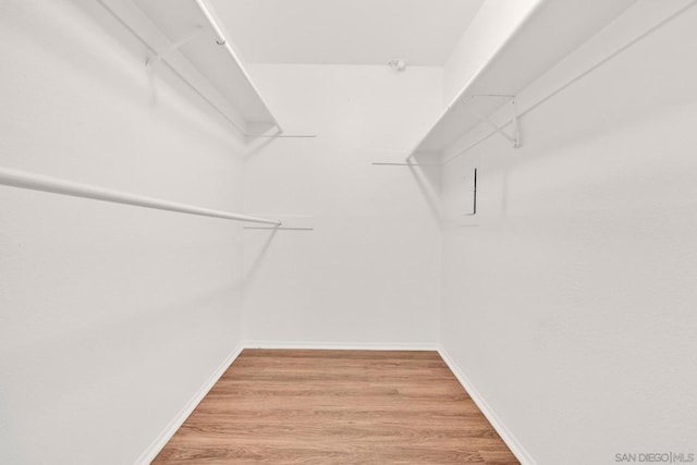 walk in closet with hardwood / wood-style flooring