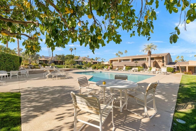 view of pool featuring a patio