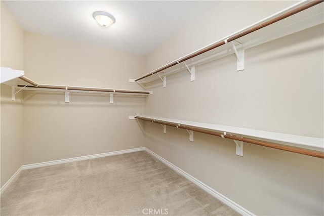 walk in closet with light carpet